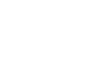 Termimax Logo